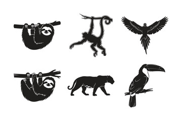 Obraz premium Rainforest animal silhouettes sloth parrot set bundle wildlife vector.
