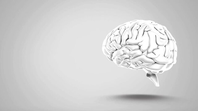 3d brain health and mind idea head concept human science graphic cgi visual effect
