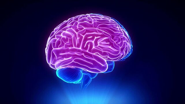 3d brain health and mind idea head concept human science graphic cgi visual effect