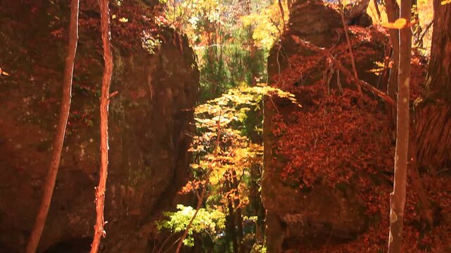 秋の猿飛岩