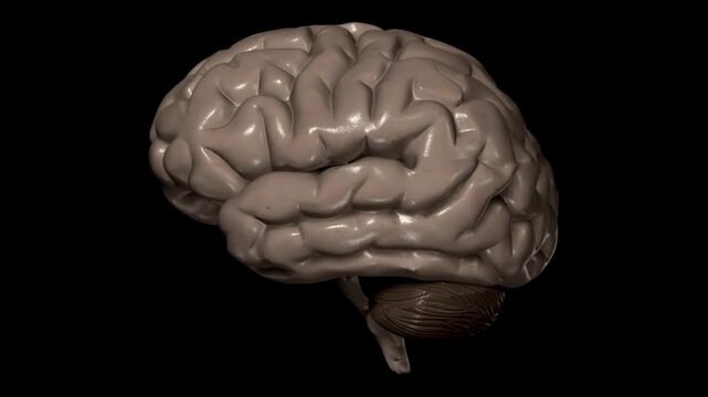 3d brain health and mind idea head concept human science graphic cgi visual effect
