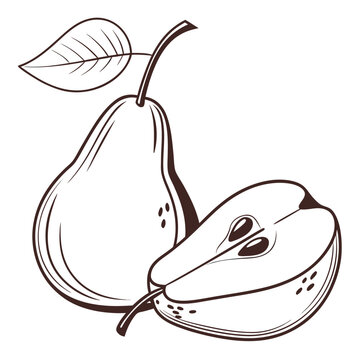 Line art drawing of a whole pear and a cut half pear with seeds, black and white