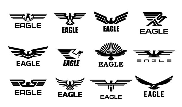 Eagle hawk and falcon icons, black birds with wings, heads and feathers vector silhouette. Flying american bald eagle birds with spread wings isolated badges, heraldic animal symbols set