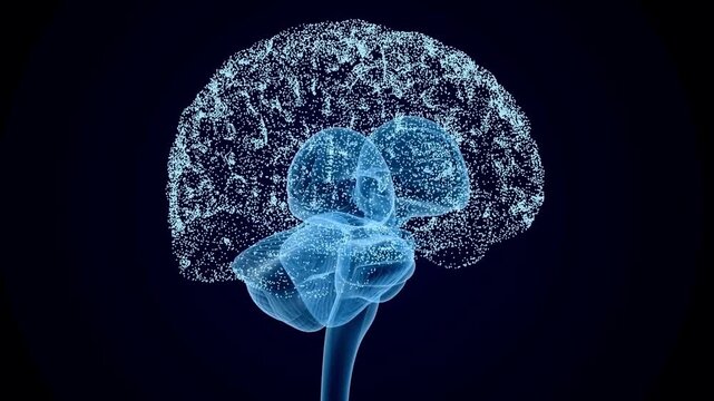 3d Animation the nervous system brain sphere seamless loop black background Medical science concept