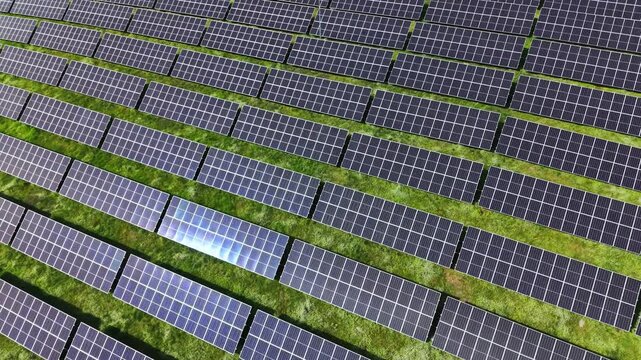 Rows of solar panels cover a wide field in bright sunlight. The setup demonstrates renewable energy use and efficiency. The panels are neatly arranged to maximize sunlight exposure.