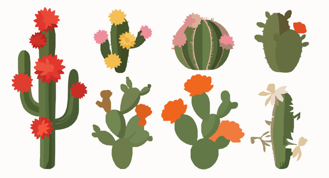 Cute cartoon cactus desert plants flat vector set blooming EPS10 isolated on white
