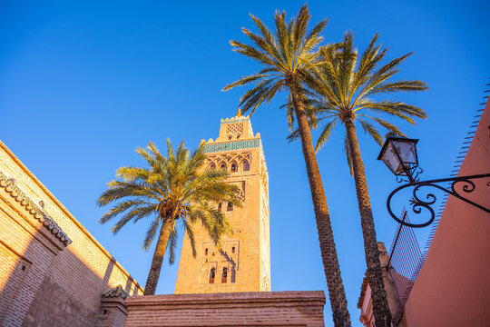 Kutubiyya Mosque is the largest mosque in Marrakesh, Morocco. Its tall tower rises above palm trees during bright daylight. Visitors explore the area around the mosque.