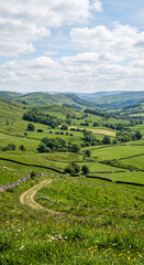 Naklejka premium Nature landscapes wallpaper with green valley landscape and rolling hills landscape under blue sky with clouds