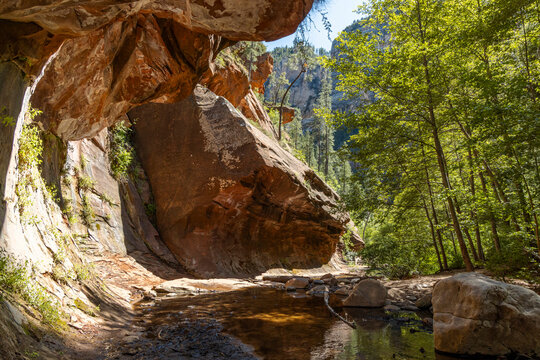 Creek going through rock formation in wooded natural landscape