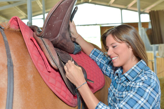 Lady securing saddle on to horse
