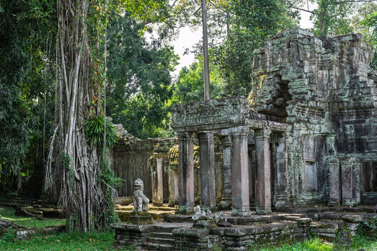 Ancient stone lion statue guarding entrance to preah khan temple ruins shaded by tall trees in angkor archaeological park