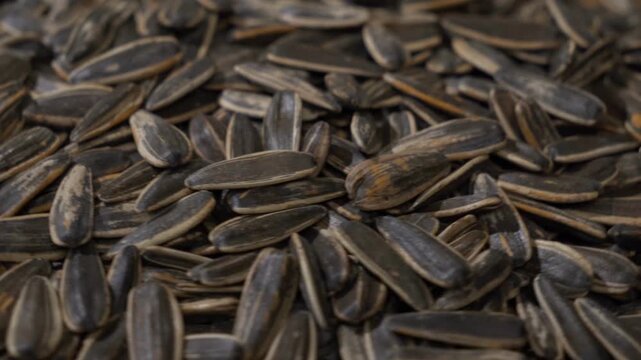 Rotating macro view of a large heap of roasted sunflower seeds showing their natural texture and detail