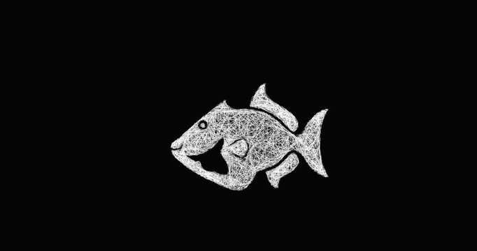 Sketch triggerfish icon animation - smooth progressive reveal