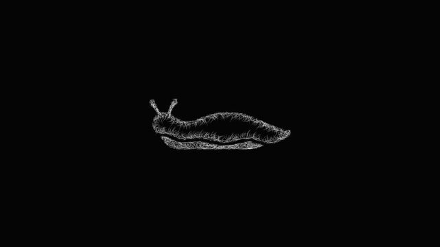 Sketch slug icon animation - smooth progressive reveal