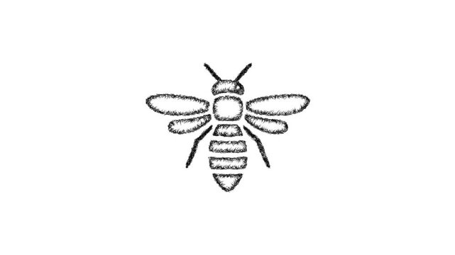 Sketch hornet icon animation - smooth progressive reveal