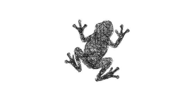 Sketch Frog Silhouette icon animation - smooth progressive reveal