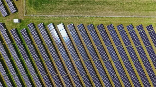 Rows of solar panels are arranged neatly on a grassy field. Bright sunlight glints off the surfaces as they convert sunlight into energy throughout the day.