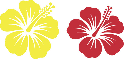 Two vibrant hibiscus flowers in contrasting colors against a plain background © Raton