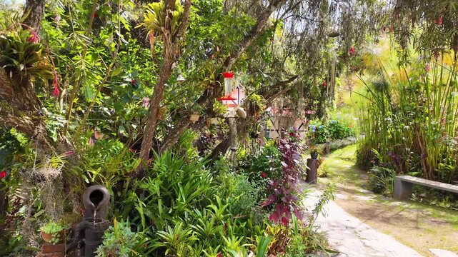 Serene tilt-up shot from a lush botanical garden with bromeliads to vibrant red Callistemon flowers under golden sunlight.