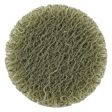Circular Green Abrasive Scouring Pad for Industrial Cleaning and Polishing Isolated on White Background