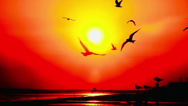 Seagulls soar across the bright orange sky at sunset, their shadows contrasting with the illuminated sunlight, capturing the atmosphere of Bang Pu coastline&mdash;the freedom and natural movement in the w