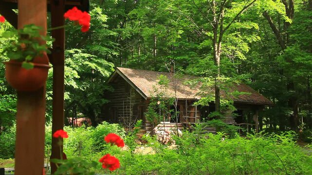麓郷の森の黒板五郎の丸太小屋