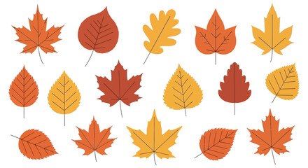 Obraz premium A colorful collection of autumn leaves in varying shapes and sizes presented as a striking silhouette high quality professional detailed modern