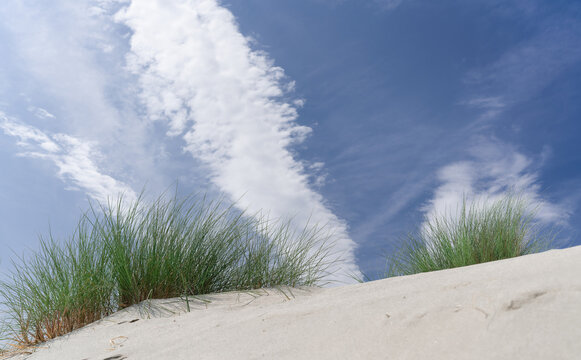 North Sea, dune, province of Zeeland