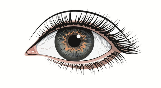 Detailed vector illustration of a human eye featuring long black eyelashes, a grey and brown iris with intricate patterns, and a dark pupil, isolated on a white background.