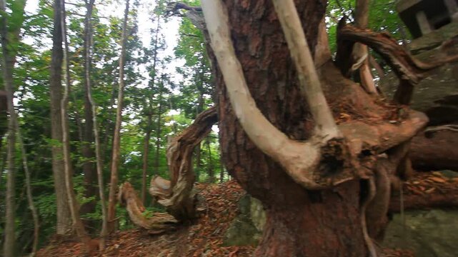 尻高城跡の三の郭入口の石宮