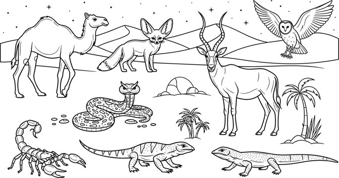 Minimalist Line Art Desert Animals Set Featuring Camel, Fennec Fox, Snake, Scorpion, Lizard, Antelope, and Owl for Nature and Wildlife Designs
