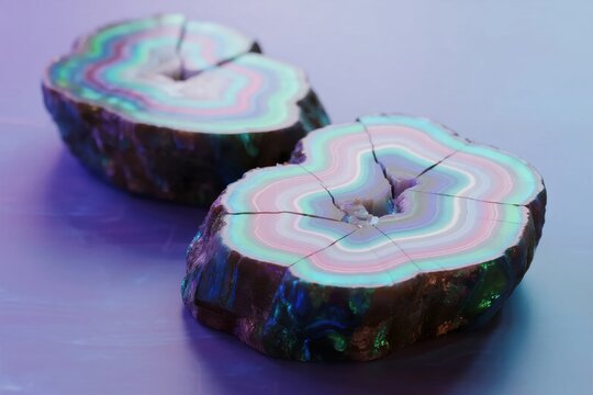 Cross-sections of colorful petrified wood with iridescent layers and cracked surfaces