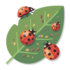 Naklejka premium Ladybird beetles on infested leaf. Flat design vector illustration of ladybugs preying on aphids. Biological pest control and nature concept