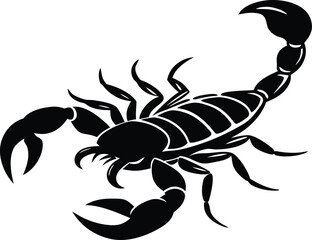 Fototapeta premium Scorpion animal insect graphic design illustration
