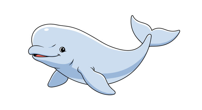 Cute cartoon beluga whale swimming peacefully in a white space with a friendly expression and rounded body features.