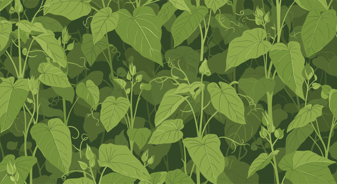 Lush dense pattern of dark green leaves and winding vines creating a deep forest or garden foliage background for nature themes.