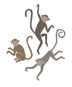 Three monkeys sitting, hanging and jumping.