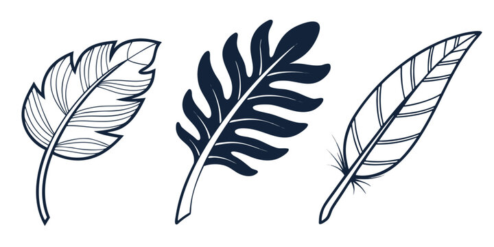 Three dark blue minimalist tropical leaf and feather graphic elements with botanical feathers tropical illustration elements isolated graphics decoration environment