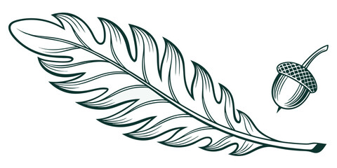 Hand drawn illustration of fern leaf and acorn with botanical illustration isolated background detailed creative monochrome decorative environment woodland © Mamun