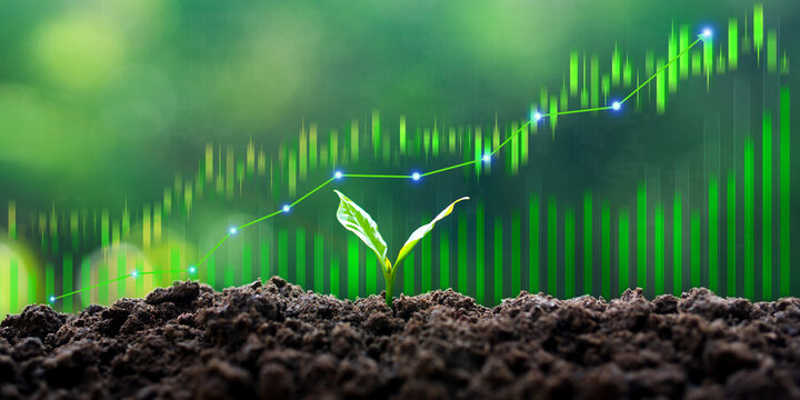 Sustainable green business growth and green investment concepts, with updated financial charts and seedlings growing against a sunny background. Growth of money, finance, and investment.