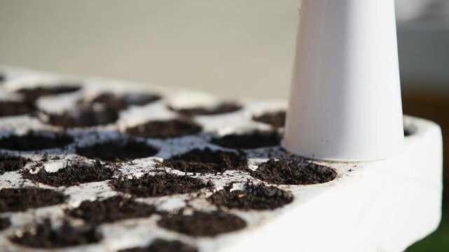 Man planting seed in soil in styrofoam box with tweezers, thermal protection and moisture retention