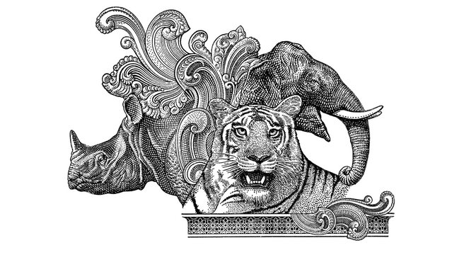 Tiger, Elephant and Rhino engraving from Indian 10 Rupee banknote (PNG)
