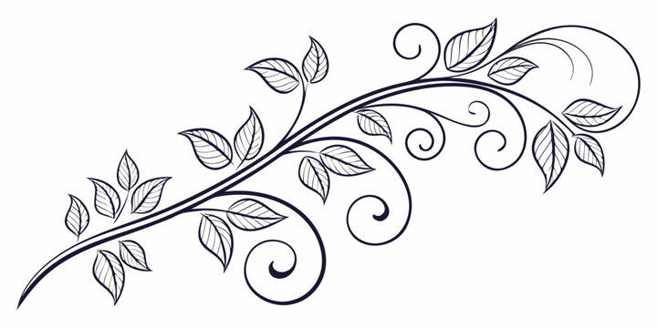 Delicate vine branch illustration with curling flourishes and simple leaves botanical ornament decoration illustration scrolling isolated silhouette climbing decorative