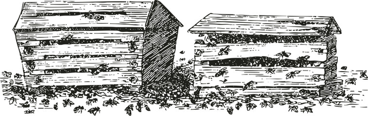Obraz premium Beekeeping wooden hives with bees flying around in a natural outdoor setting