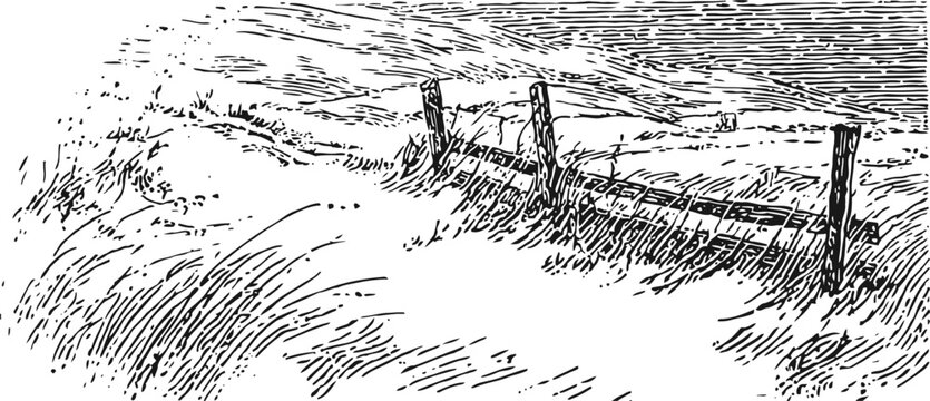 Rustic wooden fence on grassy countryside hill under windy sky landscape drawing