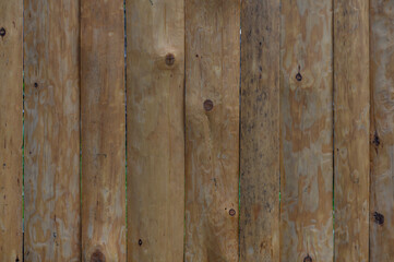 Fototapeta premium Vertical Wooden Boards with Natural Texture and Knots
