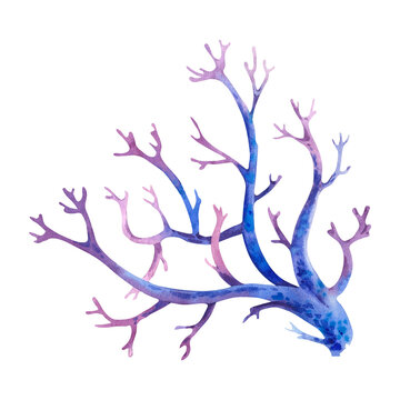 Watercolor marine limestone tubular blue coral branch sponges - siphons underwater animals of the sea. Hand-drawn illustration on a white background. Clipart of seaweed and ocean shells for decoration