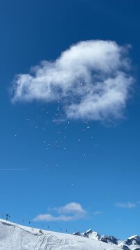 Viele Gleitschirmflieger