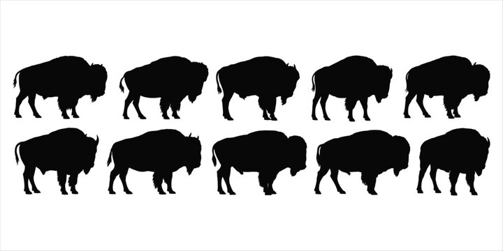 Ten black silhouette bison standing side by side on a white background buffalo animal