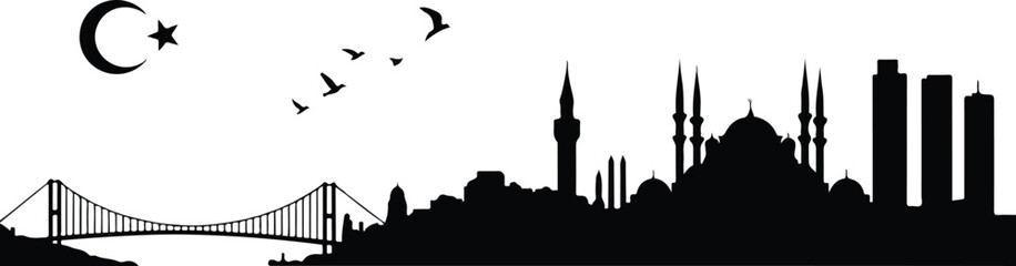 Minimalist black and white Istanbul skyline silhouette featuring Blue Mosque domes minarets and Bosphorus Bridge with flying birds composition © Mehg